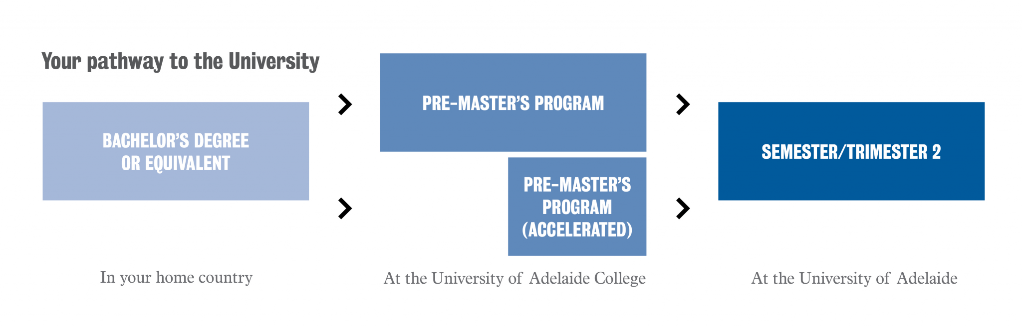 PreMasters Program The University of Adelaide College